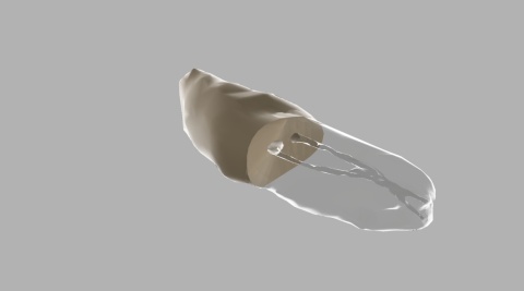 BIOMED 3D Tooth - Ząb treningowy - 25