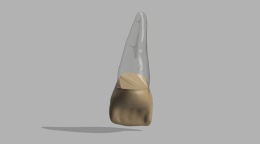 BIOMED 3D Tooth - Ząb treningowy - 9 skalcyfikowany