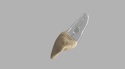 BIOMED 3D Tooth - Ząb treningowy - 9 z resorpcją