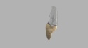 BIOMED 3D Tooth - Ząb treningowy - 9 z resorpcją