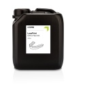 DMG Żywica LuxaPrint Ortho Flex NX (385/405 nm, TRA, 2000 g)